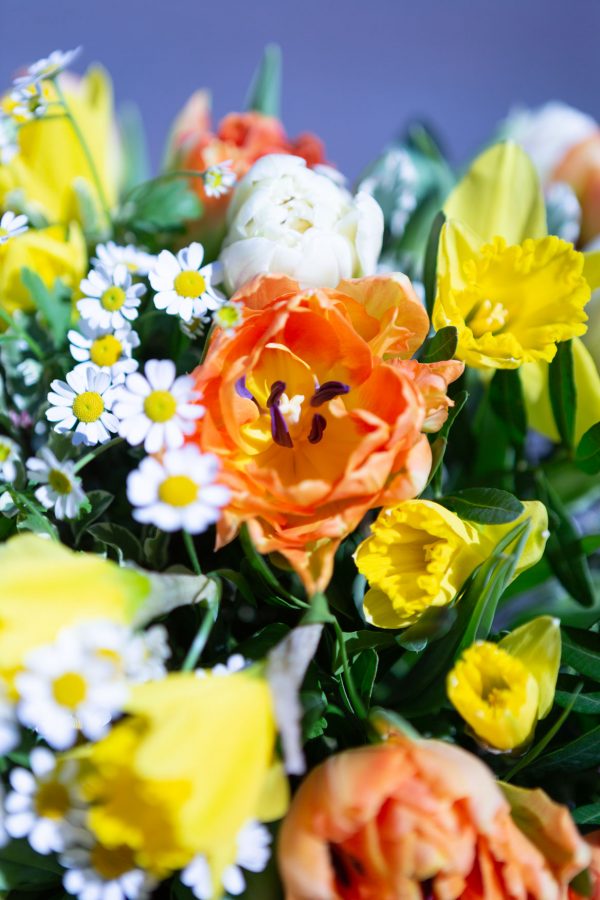 Orange Yellow And White Flower Bouquet Close Up