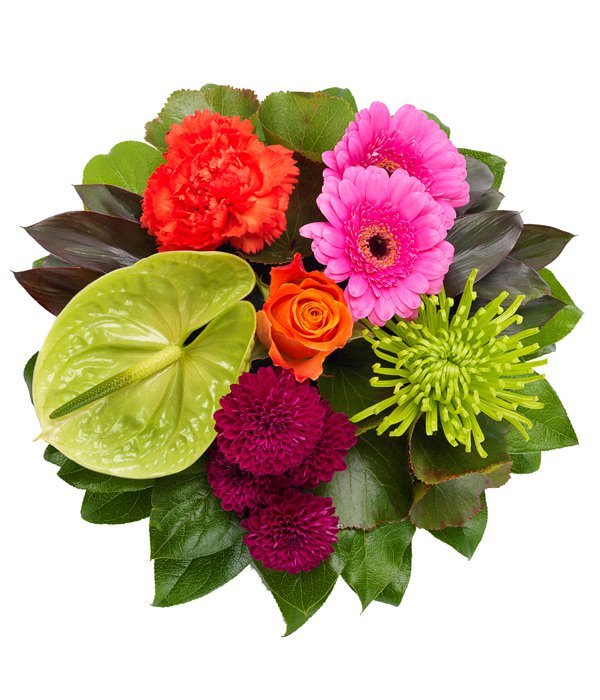 Vibrant Germini, Mums, Carnations And Cordyline Posy Bouquet